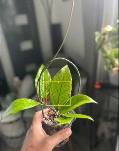 Krzysztof, Witkowo Krzysztof, Witkowo