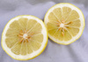 Cytryna Skierniewicka Cytrus z owocem P9
